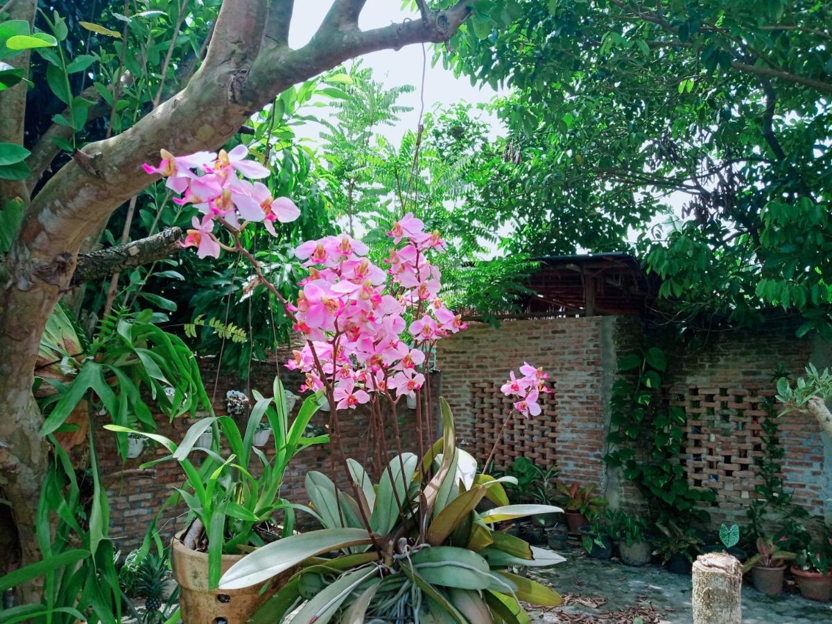Bua Guest House Medan Dış mekan fotoğraf
