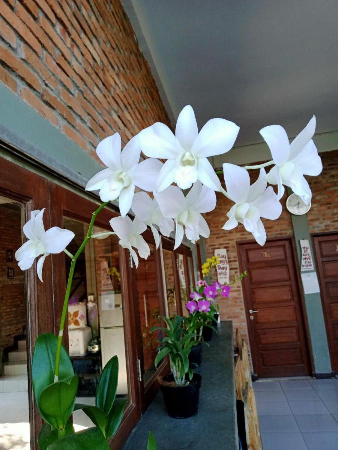 Bua Guest House Medan Dış mekan fotoğraf