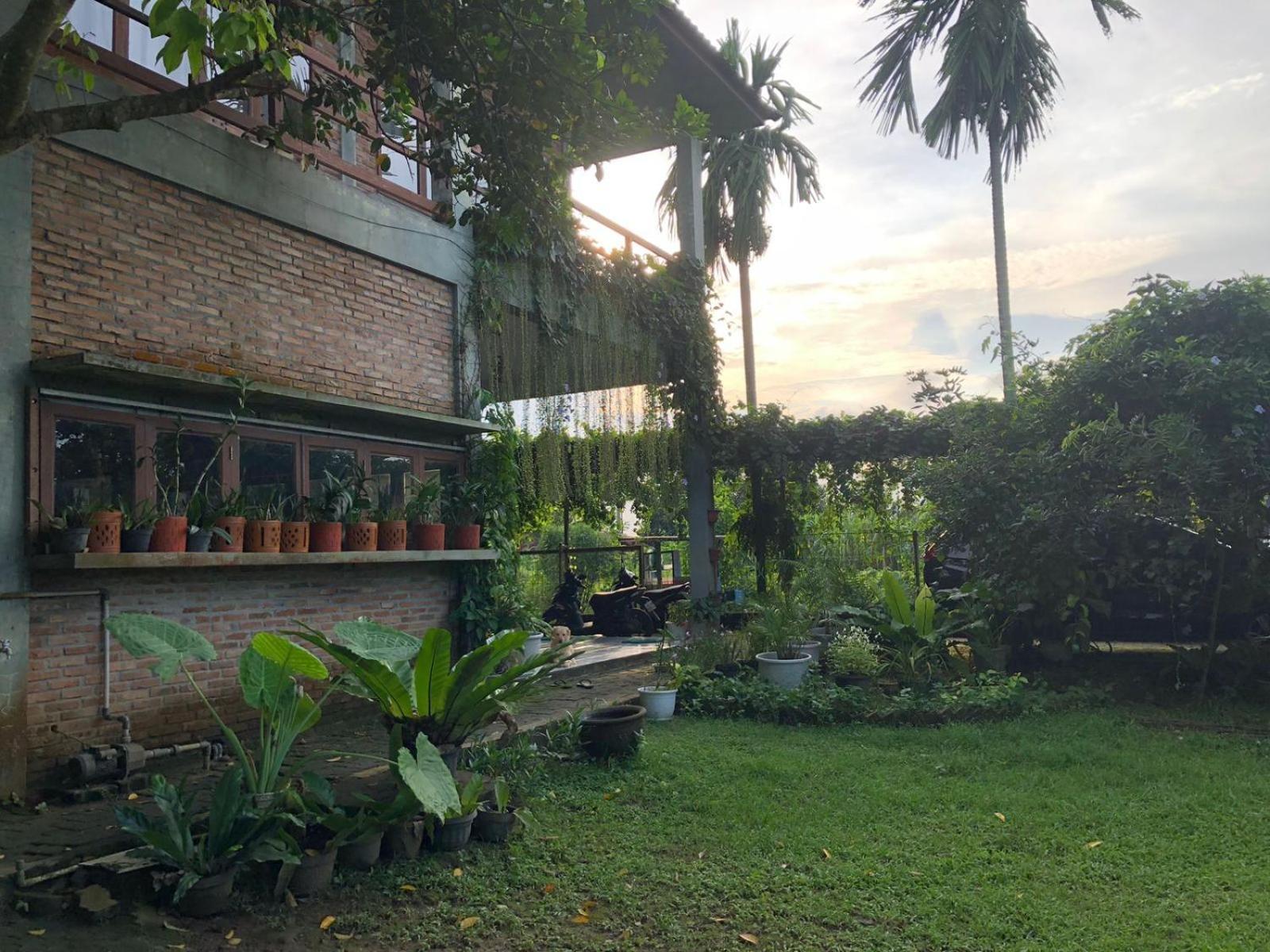 Bua Guest House Medan Dış mekan fotoğraf