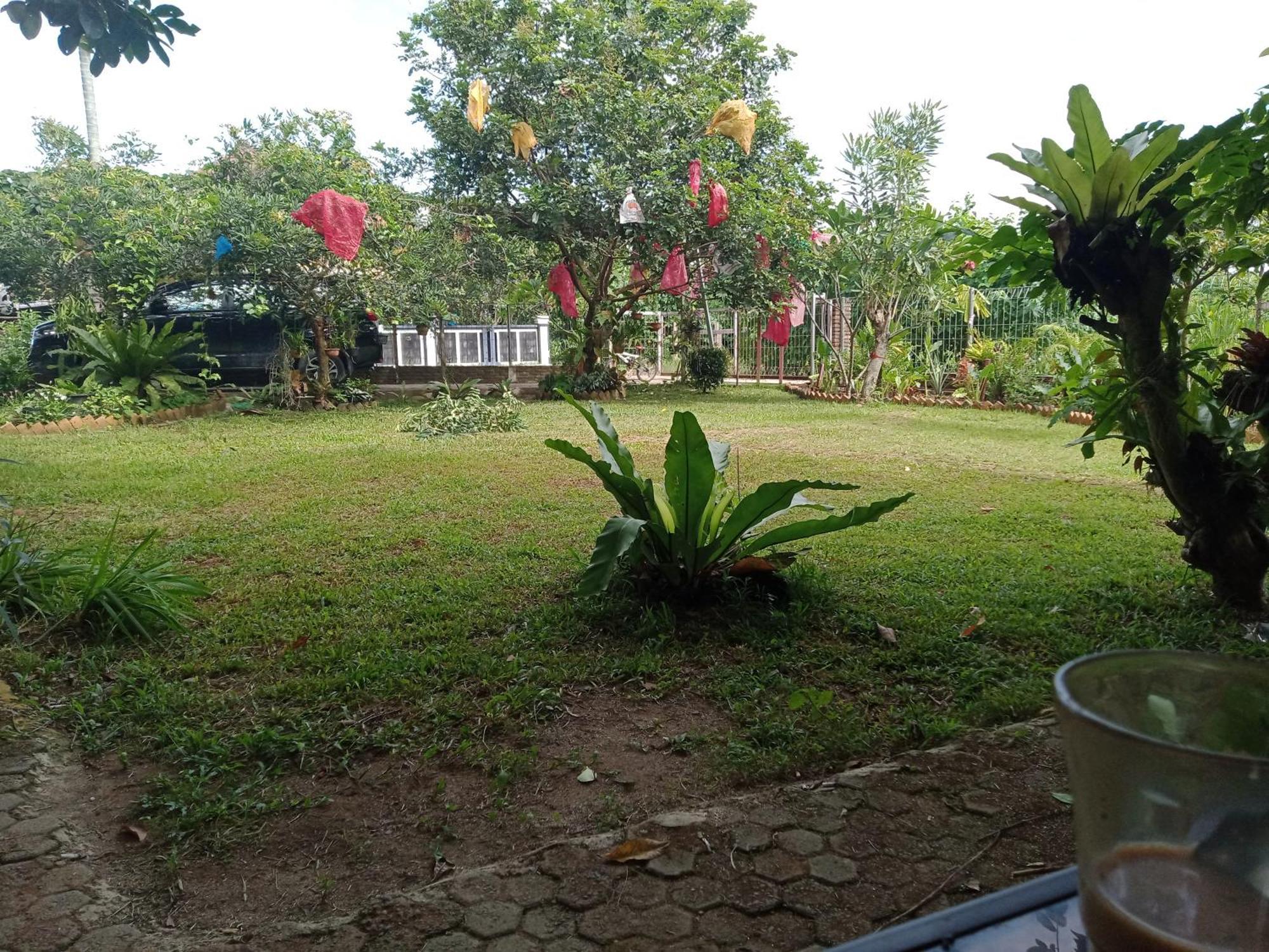 Bua Guest House Medan Dış mekan fotoğraf